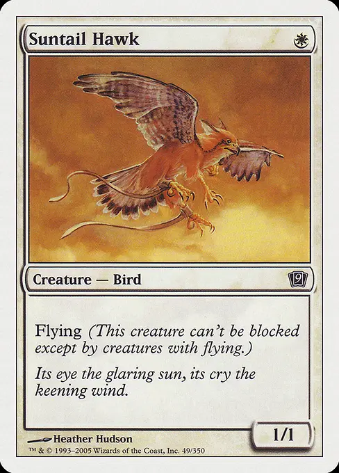 Suntail Hawk