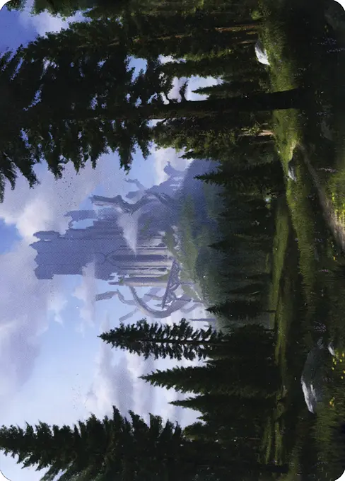 Forest