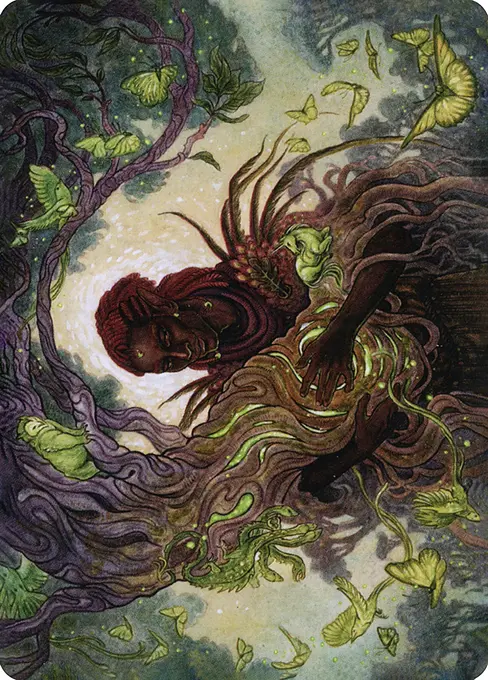 Circle of Dreams Druid