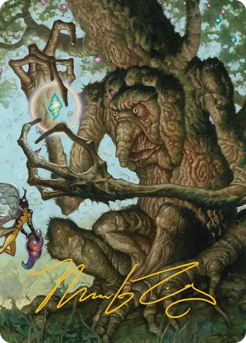 Faeburrow Elder