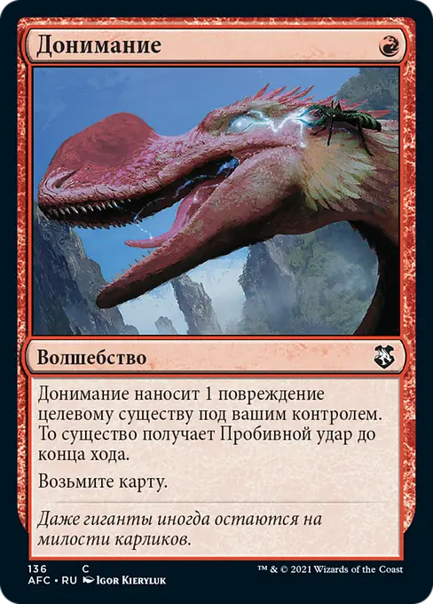 Донимание