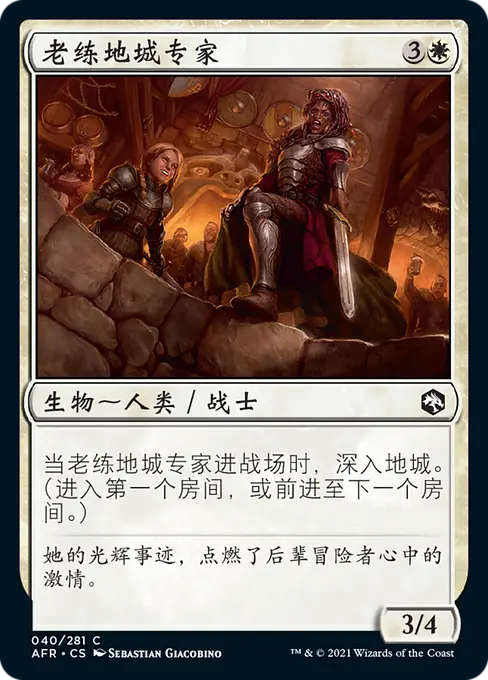 老练地城专家