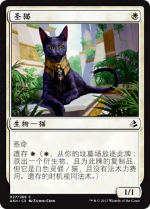 圣猫