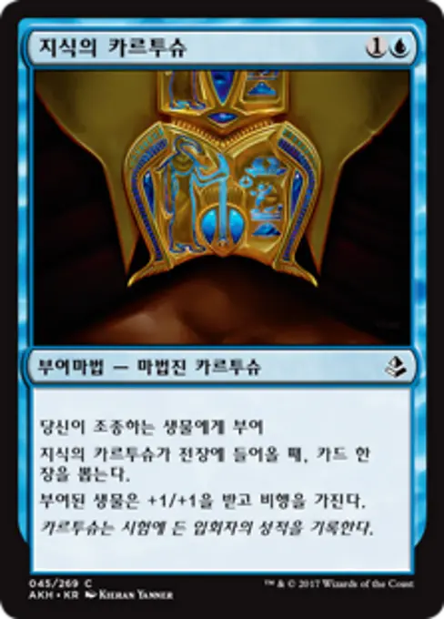 지식의 카르투슈