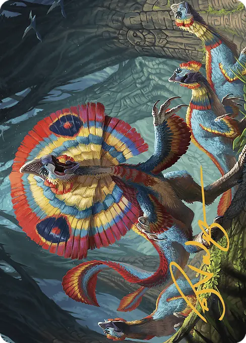 Sunfrill Imitator