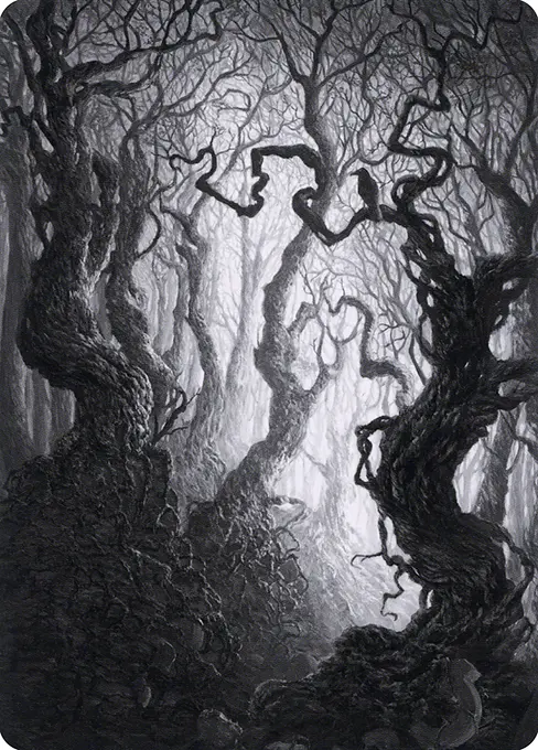 Forest