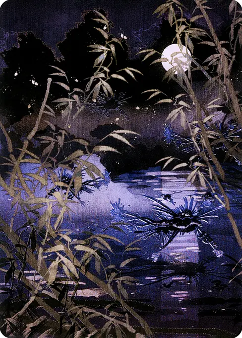 Swamp