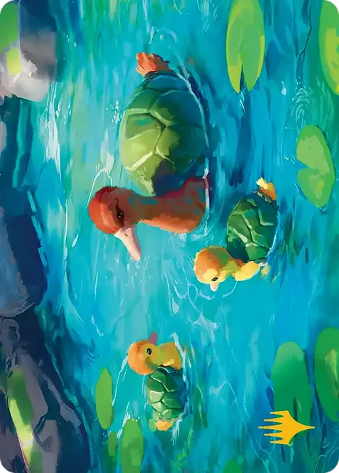 Turtle-Duck