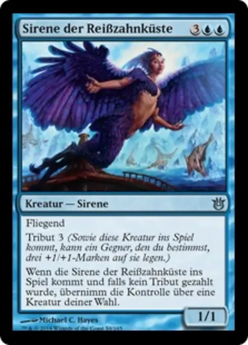 Sirene der Reißzahnküste
