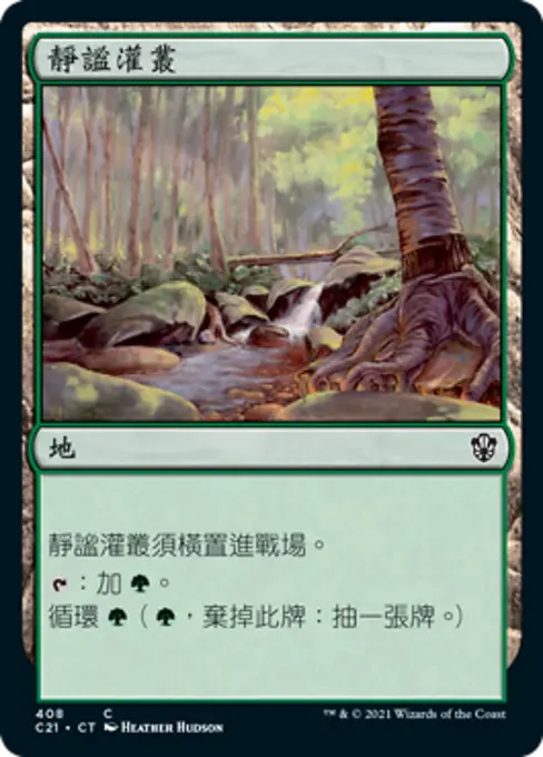 靜謐灌叢