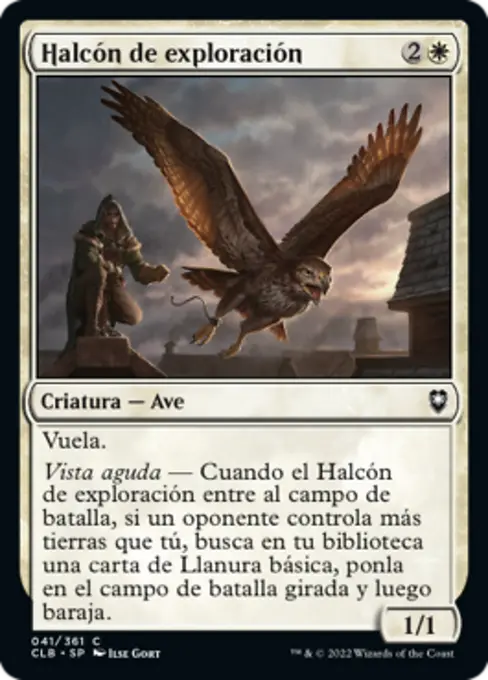 Halcón de exploración