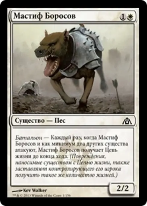 Мастиф Боросов