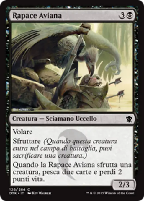 Rapace Aviana
