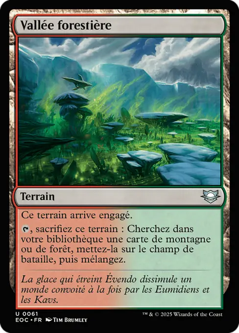 Vallée forestière