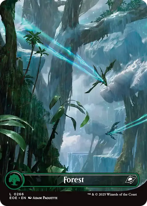 Forest