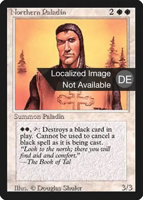 Nordischer Paladin
