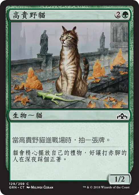 高貴野貓