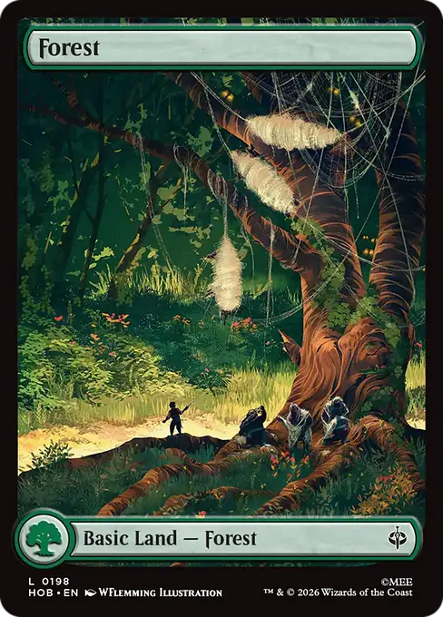 Forest