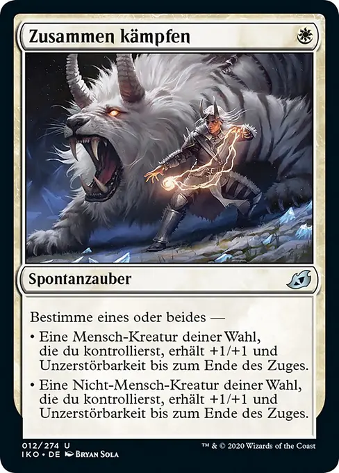 Zusammen kämpfen