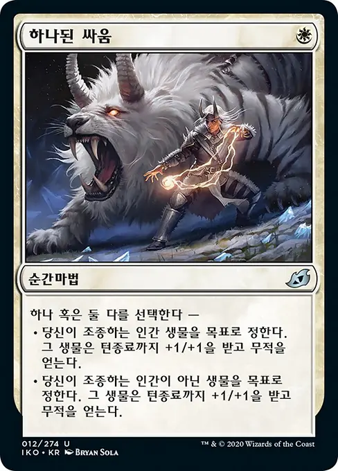 하나된 싸움