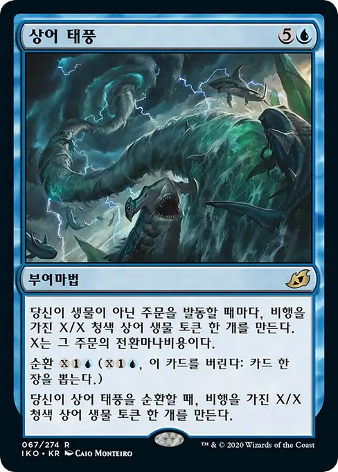 상어 태풍