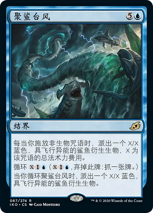 聚鲨台风