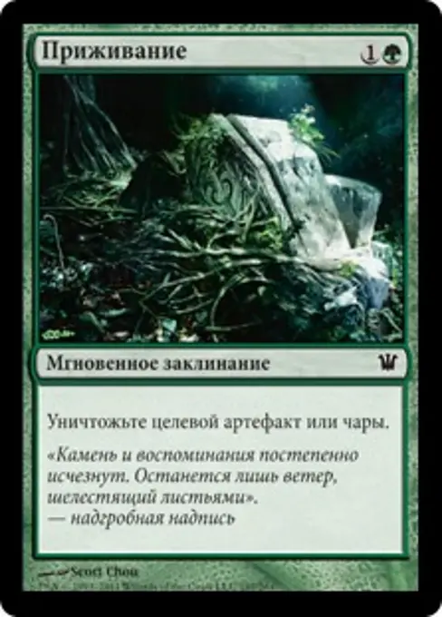 Приживание
