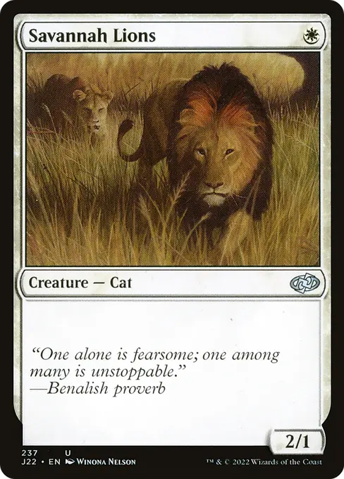 Savannah Lions