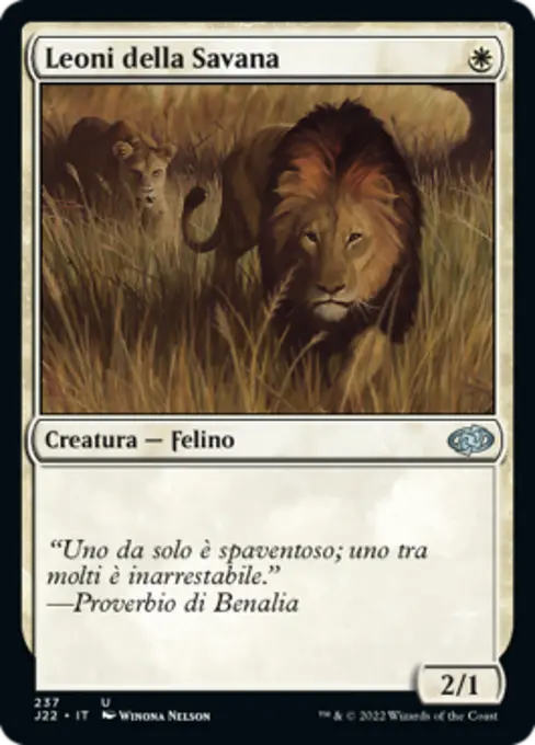 Leoni della Savana