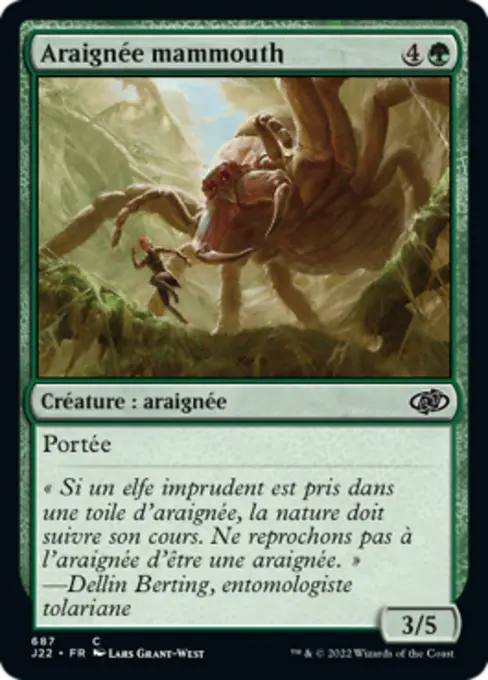 Araignée mammouth
