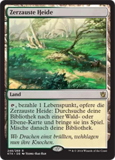 Zerzauste Heide