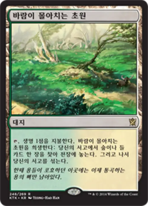 바람이 몰아치는 초원