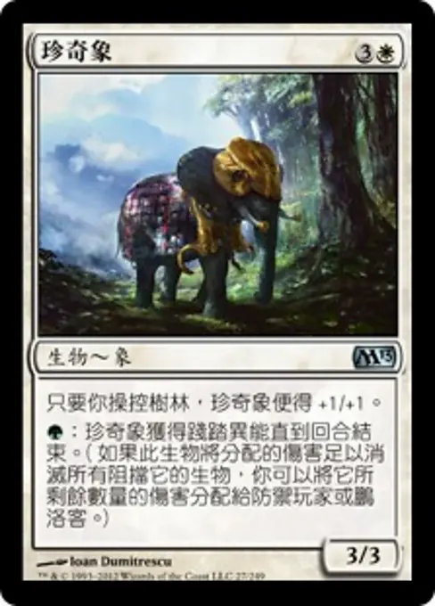 珍奇象