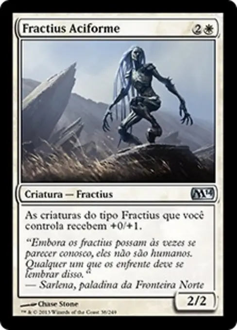 Fractius Aciforme