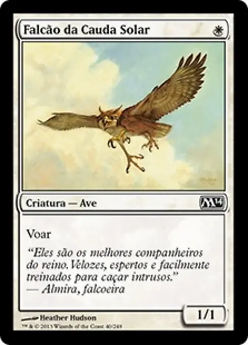Falcão da Cauda Solar