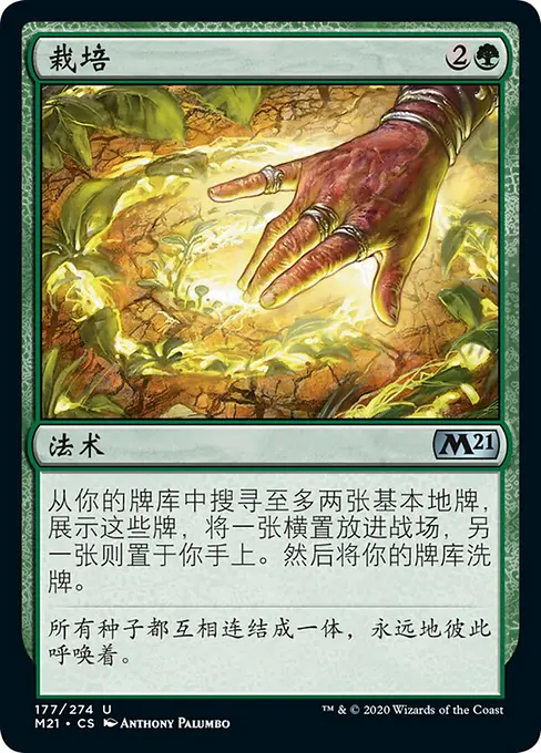 栽培
