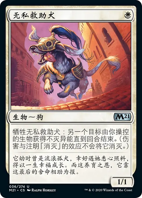 无私救助犬