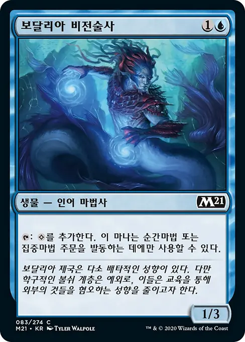 보달리아 비전술사
