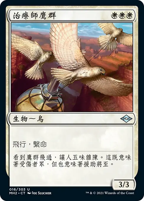 治療師鷹群