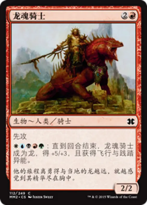 龙魂骑士