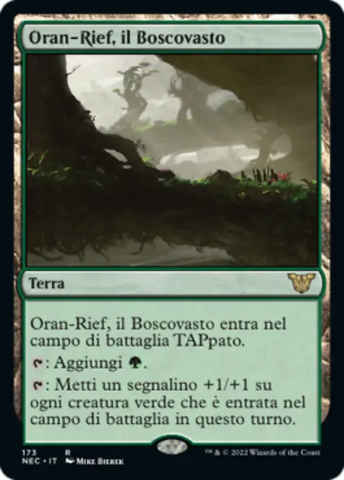 Oran-Rief, il Boscovasto