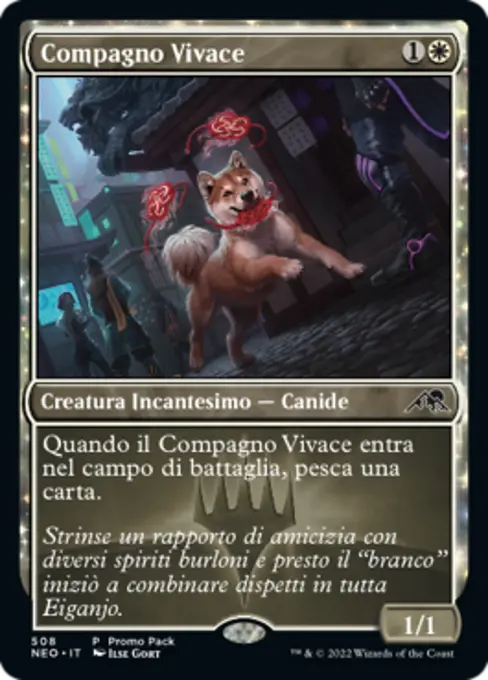 Compagno Vivace