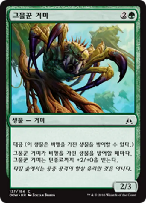 그물꾼 거미