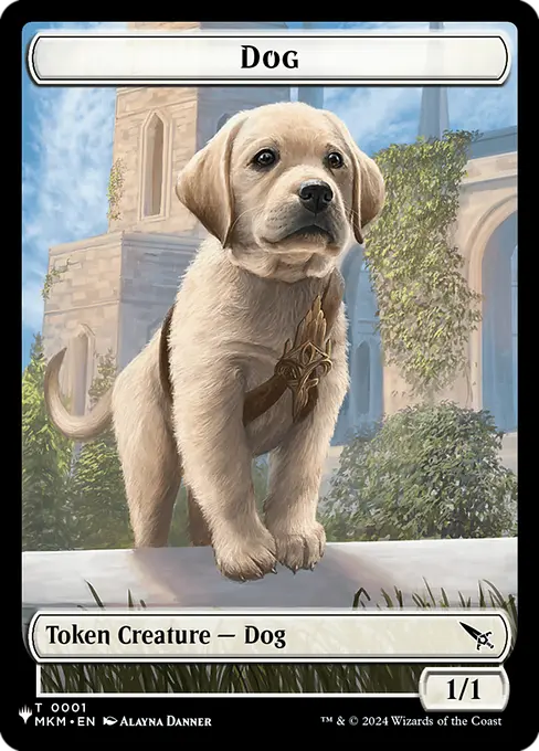 Dog