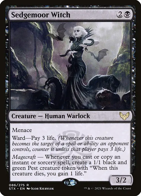 Sedgemoor Witch