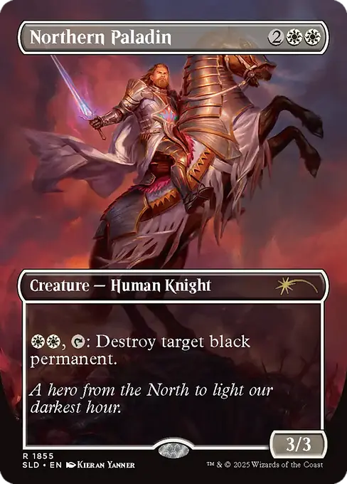 Northern Paladin