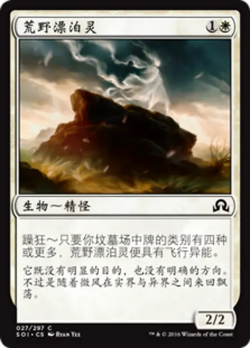 荒野漂泊灵