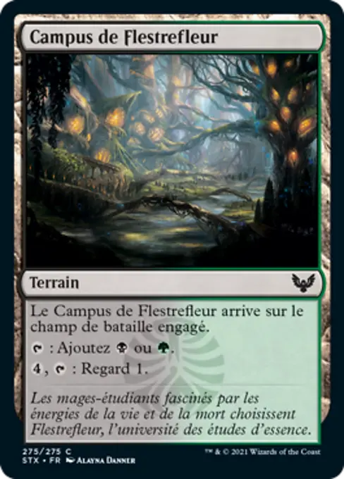 Campus de Flestrefleur
