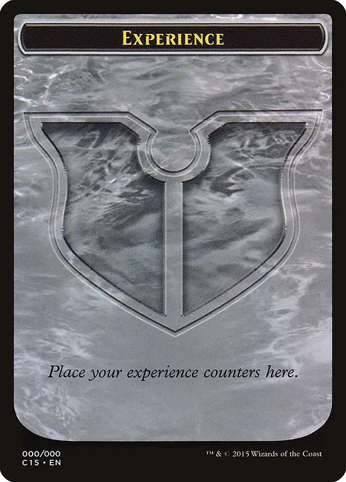 Experience