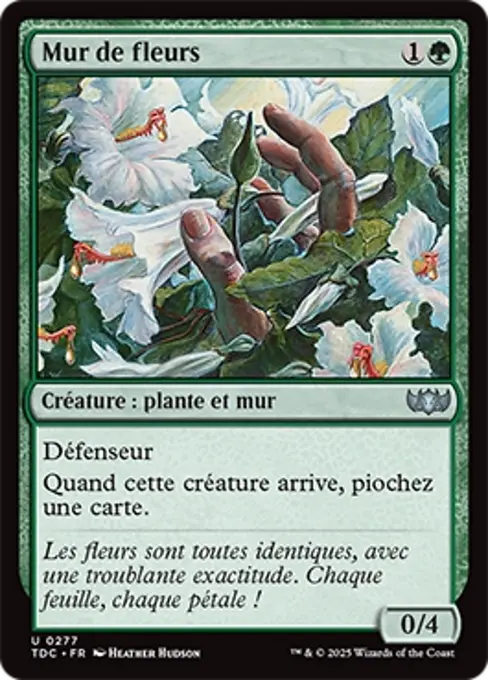 Mur de fleurs